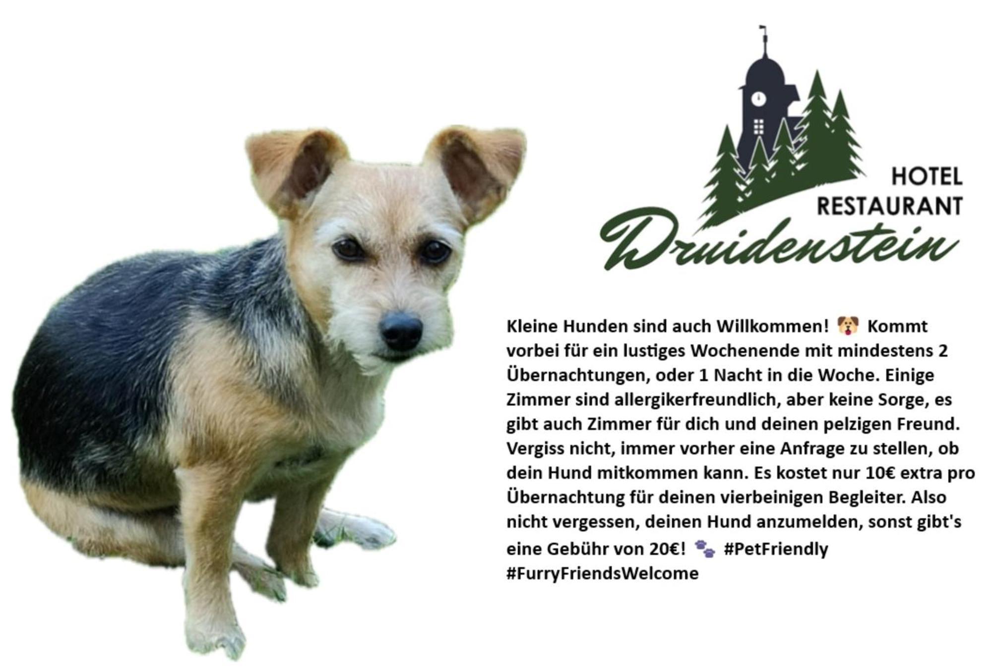 Hotel & Restaurant Druidenstein Trautenstein Zewnętrze zdjęcie