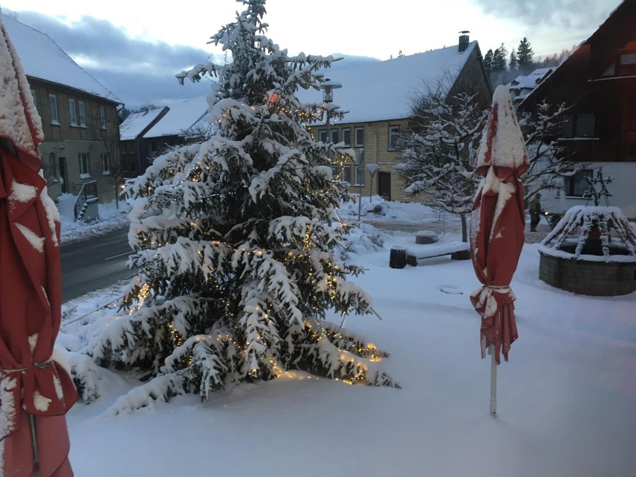 Hotel & Restaurant Druidenstein Trautenstein Zewnętrze zdjęcie